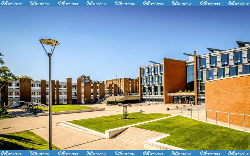 img of Học Bổng Bán Phần Bậc Cử Nhân Tại Đại Học Sussex Anh Quốc 2024