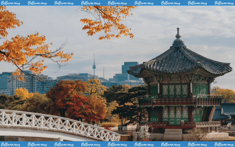 img of Tuyển Thành Viên “Friends Of Korea” Kỳ 17 Tại Trung Tâm Văn Hóa Hàn Quốc Việt Nam