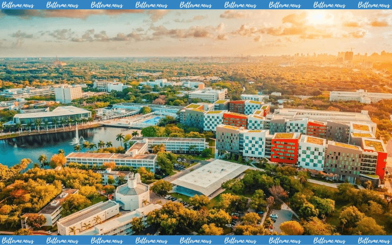 img of Học Bổng Toàn Phần Bậc Cử Nhân Stamps Của Đại Học Miami Chính Thức Mở Đơn Đăng Ký
